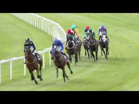 2022.05.08. 04. futam - BÁBOLNAI DÍJ (Elit kat.)