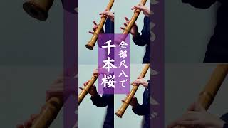 Download lagu 【全部尺八で】千本桜 / 黒うさP【1人で吹いてみた】 mp3