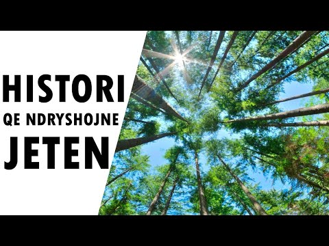 2 ore Histori qe te ndryshojne jeten! Mund ti degjoni edhe gjate udhetimeve