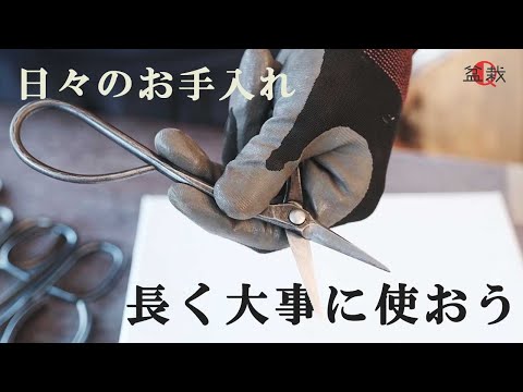 植え替え メンテナンス 盆栽 屋内 屋外 矮性の木の世話をする方法