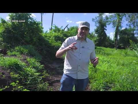 📍 50 Hectares à Venda em Jaraguari/MS – Região do Bom Fim