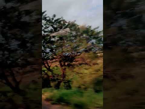 jaguaribe-CE!