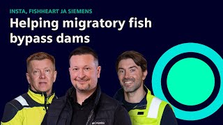 Fishheart helps fish bypass dams without stopping hydropower