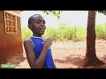 Sesame Street Song Shake Shake The Mango Tree Baby Songs At Home Funny Video For Babys