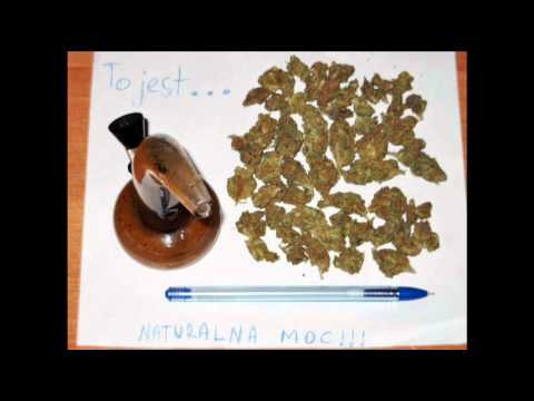 Gru BZCWB (NATURALNA MOC)bit KUPIEC