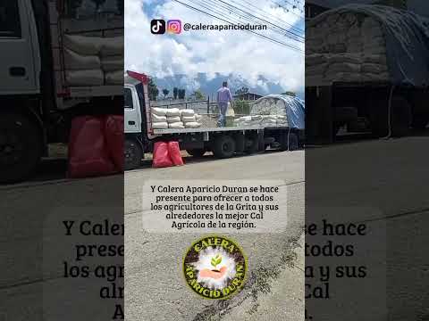 #shorts #venezuela #cal #agricola #tachira #meridavenezuela #trujillovenezuela #mucuchies #reels #si