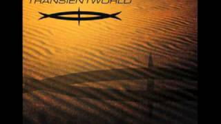 Transientworld - Undetected