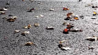 Qu&#39;il est difficile - Coeur De Pirate , Marc Lavoine , Arthur H