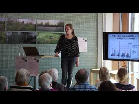 Crafoords Vetenskapslunch - Mat som - eller istället för - medicin?