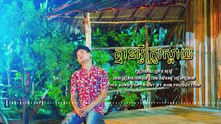 គ្មានអ្វីត្រូវស្ដាយ - ព្រាប សុវត្ថិ