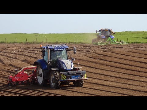 3 New Holland Bluepowers Planting Carrots
