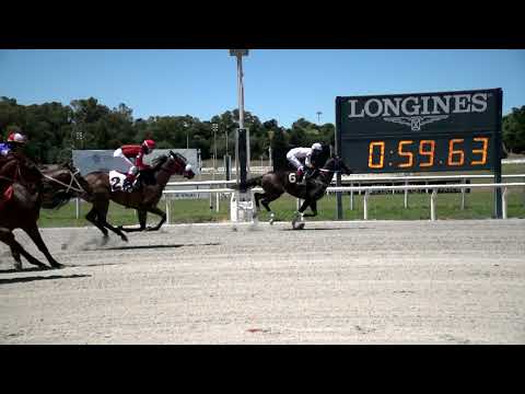 211226 c01 ARISTOTELES GG