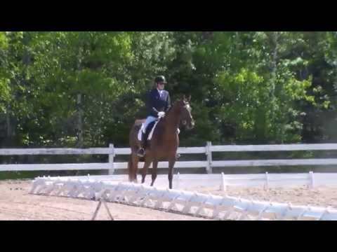 Boundless by Belissimo M - Training level test 2 - 66.35%