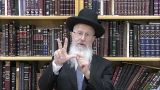 הגאון הרב אברהם יוסף שליט"א איך בונים את הסוכה ואיך בוחרים את ארבעת המינים (הרב אברהם יוסף) - התמונה מוצגת ישירות מתוך אתר האינטרנט יוטיוב. זכויות היוצרים בתמונה שייכות ליוצרה. קישור קרדיט למקור התוכן נמצא בתוך דף הסרטון