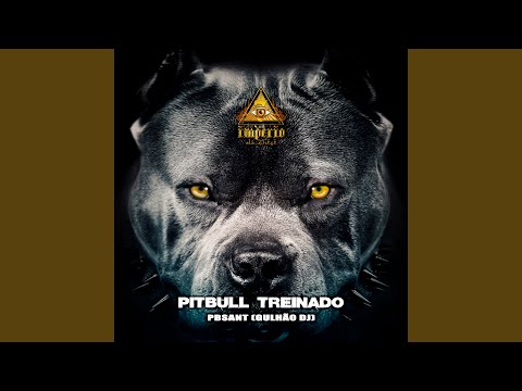 Pitbull Treinado