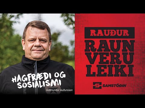 Rauður Raunveruleiki – Guðmundur Auðunsson / Hagfræði og Sósíalismi