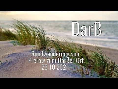 Darß 2021 - Rundwanderung von Prerow zum Leuchtturm am Darßer Ort | Weststrand | einfachnurreisen.de