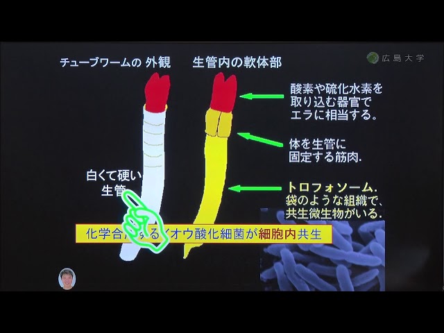 image-応用極限環境生命科学
