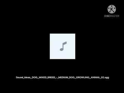 Sound Ideas, DOG, MIXED BREED - MEDIUM DOG, GROWLING, ANIMAL 02