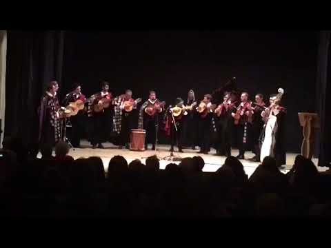 El baile de Luis Alonso - Tuna Universitaria de Santander