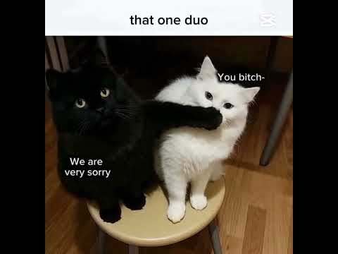 hehe the Best duo 🎀🤌🏻 Musfirah's Edits