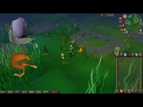 Raw Snail Meat Osrs