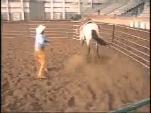 Dennis Reis World Colt Starting Commercial