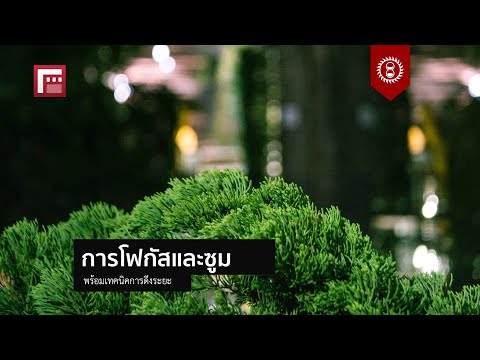 คลิกเพื่อดูคลิปวิดีโอ