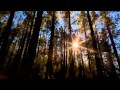 Индейская этническая музыка Флейта, плюс Nature 2011) 