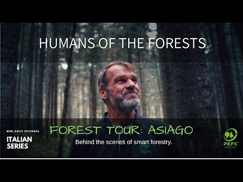 HUMANS OF THE FORESTS: FOREST TOUR, ASIAGO - ITALY
