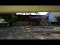 Zebras Fucking