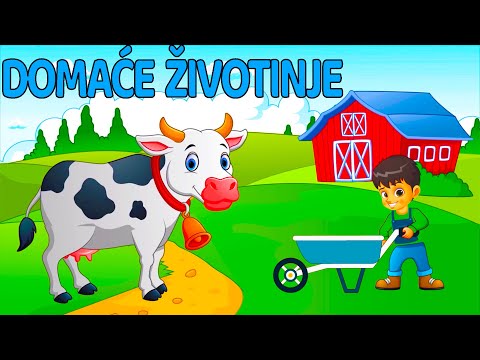 Ucimo Domace Zivotinje 💙💛  Pepi TV Crtani Za Djecu 💙💛 Edukativni Programi Za Decu