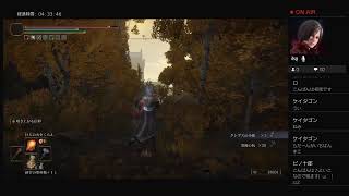 ＜エルデンリング配信＞2周目の世界をマルチ！