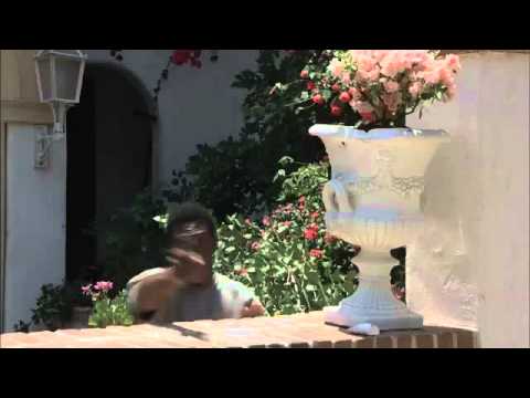 Superdetective en Hollywood