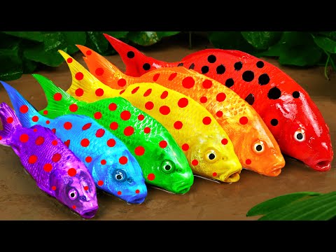 Best Of Small Fish Recipe | MINIATURE Fish Cooking Made EASY with Simple Recipe