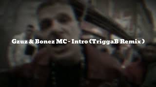 Gzuz &amp; Bonez MC - Intro (TriggaB Remix)
