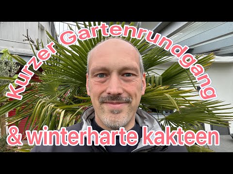 Kurzer Gartenrundgang Ende April. Winterharte Kakteen auf dem Carport