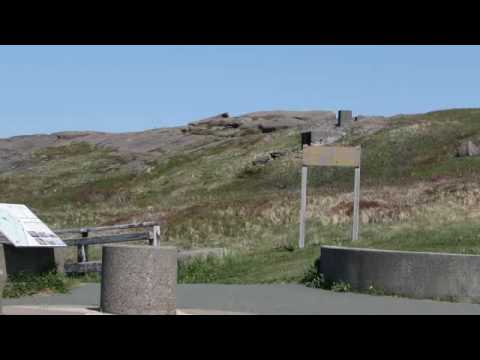 Rollin' of the Sea = Cape Spear - Irish Descendants