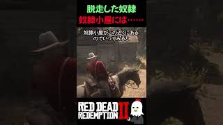 【RDR2】海辺で見つけた死体を調べた結果…【レッドデッドリデンプション2】