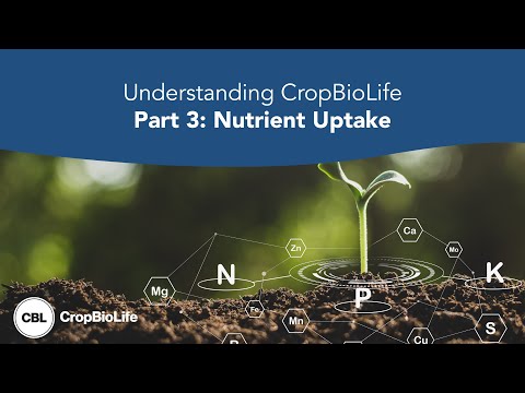 Understanding CropBioLife Part 3: Nutrient Uptake