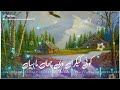 Koi Kikran De Chaan Mahiya Punjabi Tappay Punjabi Song Whatsapp Status Nauman Noor