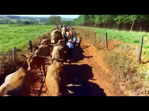 Romaria Rindade - Amado Batista