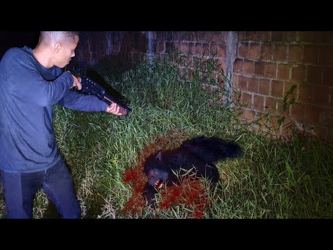 ELE ATIROU NO LOBISOMEM A QUEIMA-ROUPA: Fim da lenda #lobisomem 