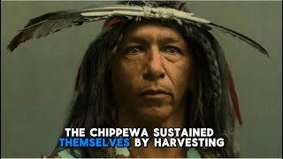The history of the Chippewa Tribe