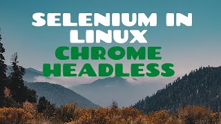 How to run selenium cases in linux server using Chrome Browser in Headless Mode