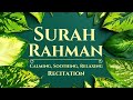 Surah Rahman Beautiful Recitation | Heart Soothing | Relaxation, baby deep Sleep, Stress relief