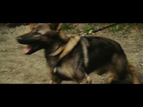 Favorite Movie Moments: Rise Of The Planet Of The Apes: Caeser And The Dog