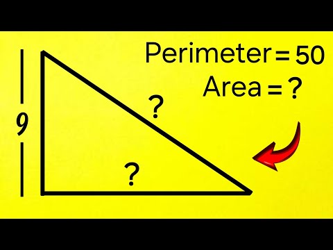 Eine nette Geometrieaufgabe – Kannst du die Fläche berechnen?