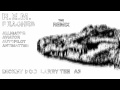 R E M Alligator Aviator Autopilot Antimatter Dickey ...