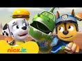 PAW Patrol Yummy Food Adventures Rescue Missions W Ryder 10 Minutes Nick Jr